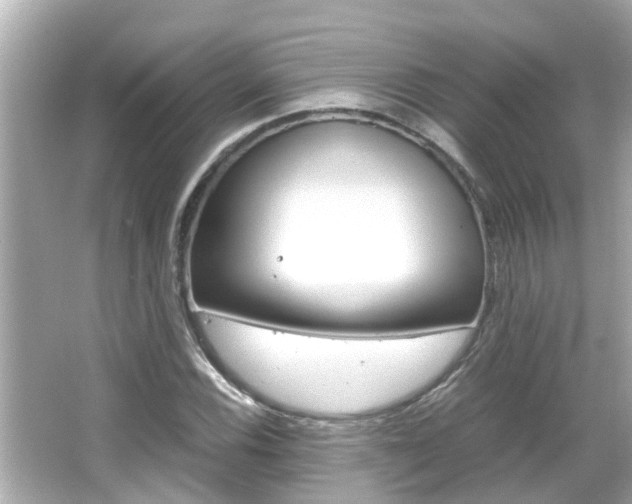 X0000066501116200603170942