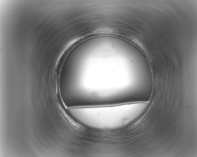 X0000066501123200603170943
