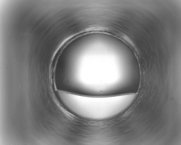 X0000066501124200603170943