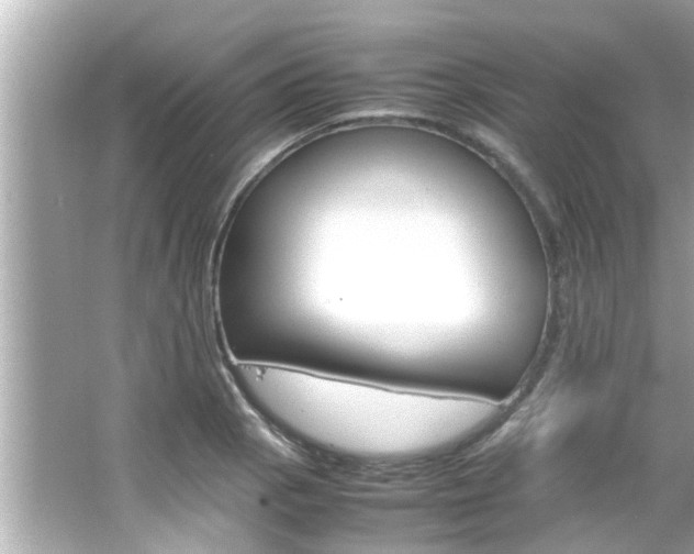 X0000066501129200603170943