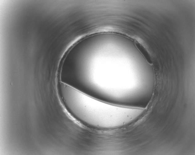 X0000066501134200603170943