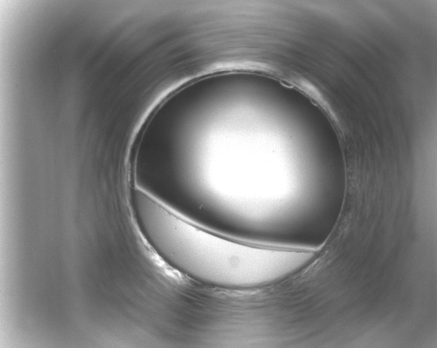 X0000066501140200603170943