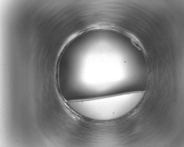 X0000066501146200603170943