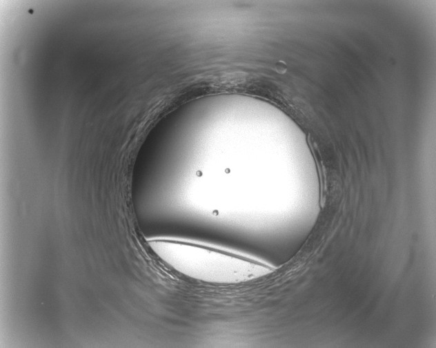 X0000066501153200603170942