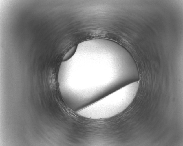X0000066501154200603170942