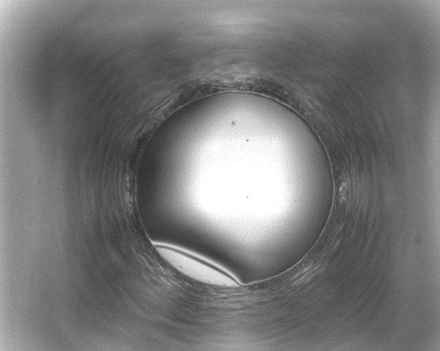 X0000066501156200603170942