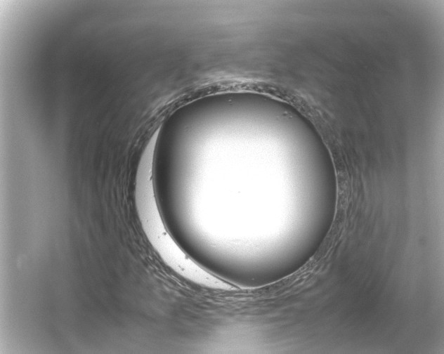 X0000066501157200603170942
