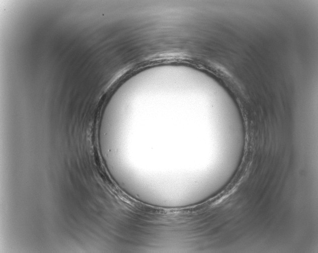 X0000066501162200603170942