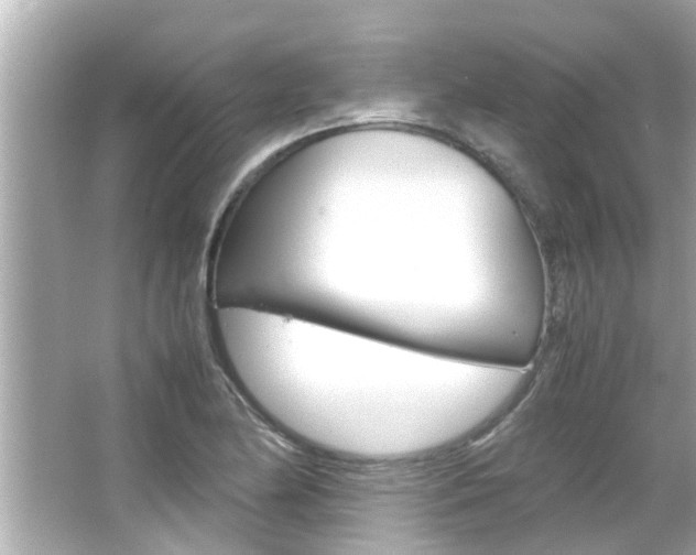 X0000066501174200603170942