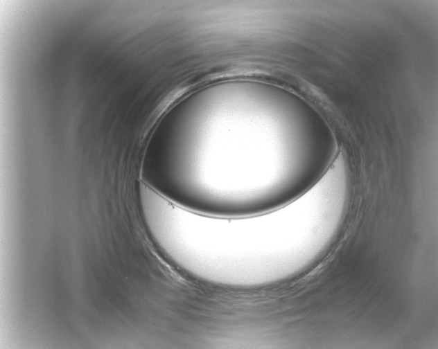 X0000066501177200603170942