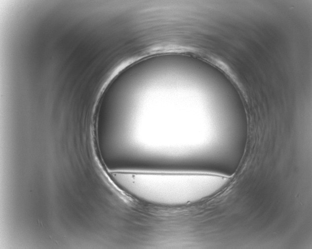X0000066501187200603170942