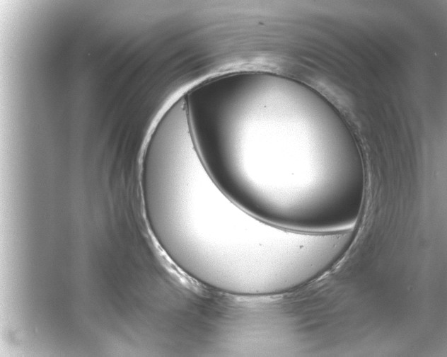 X0000066501200200603170941