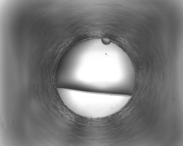 X0000066501201200603170941