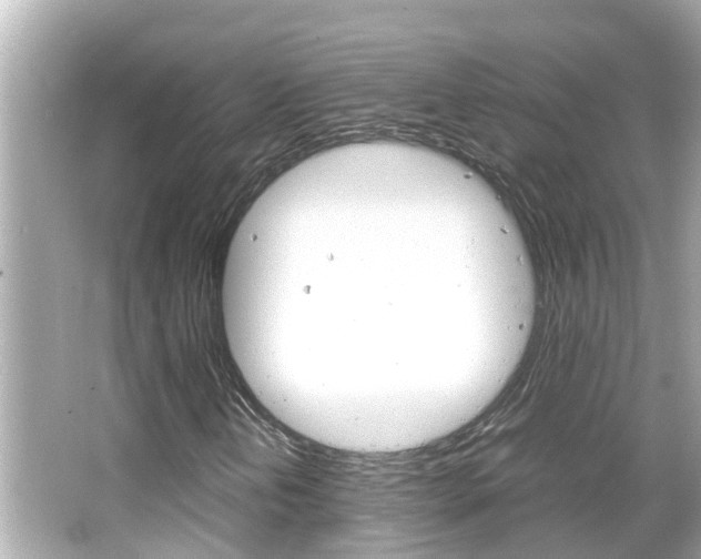X0000066501202200603170941