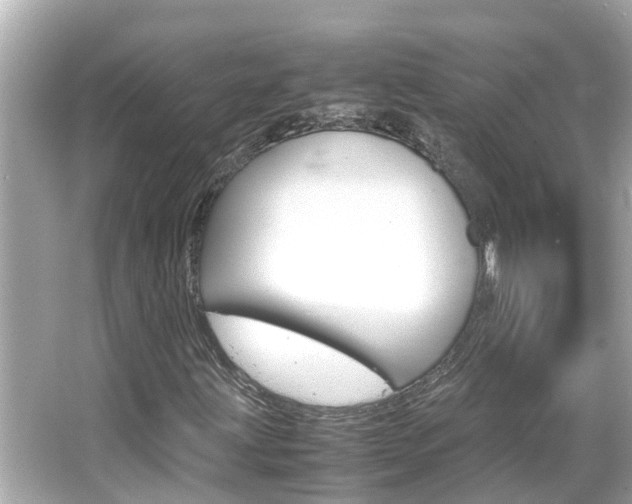 X0000066501203200603170941