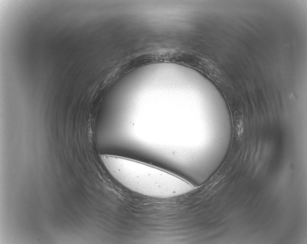 X0000066501204200603170941