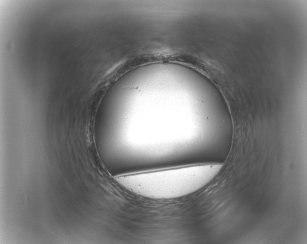 X0000066501205200603170941