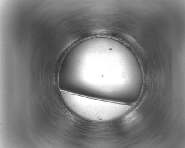 X0000066501209200603170941