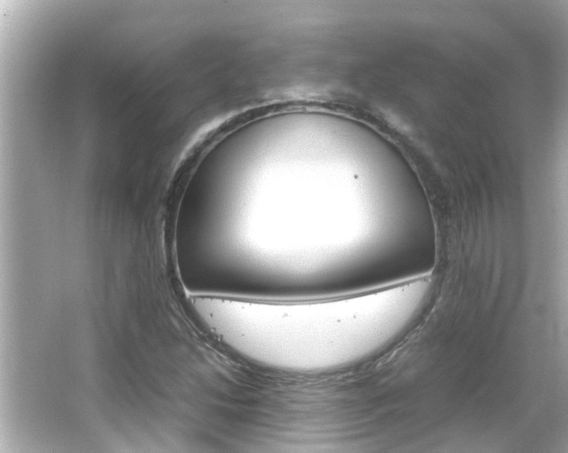 X0000066501214200603170941