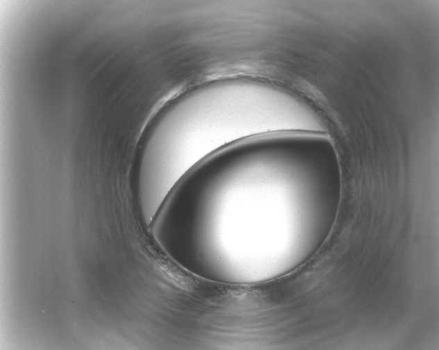X0000066501218200603170941