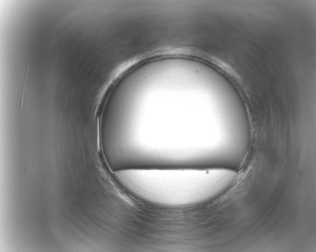X0000066501223200603170941