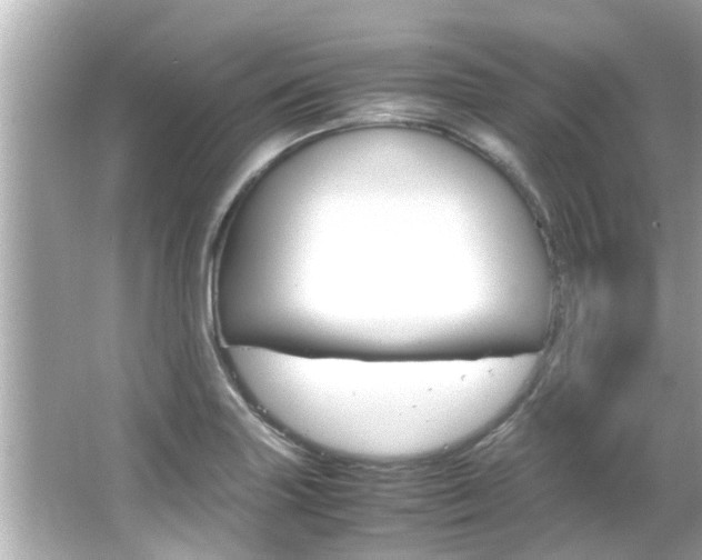 X0000066501227200603170941