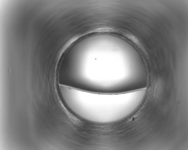 X0000066501229200603170941