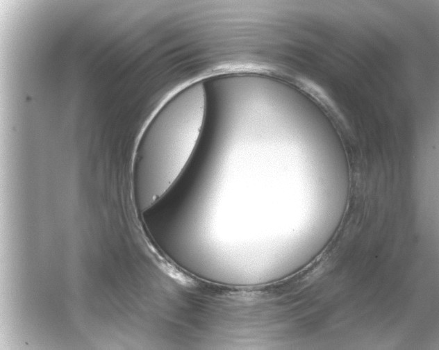 X0000066501236200603170941