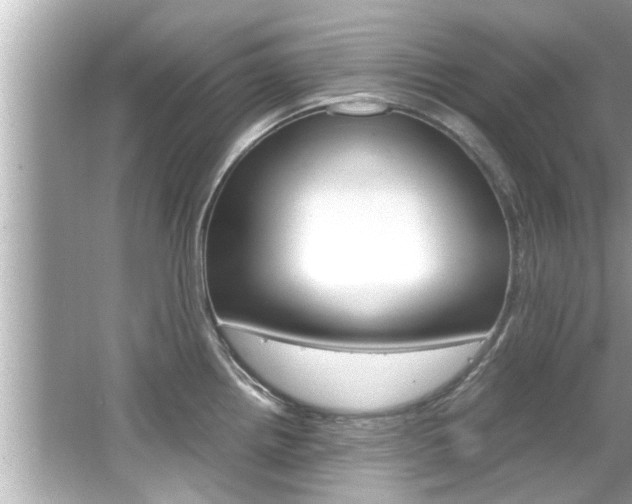 X0000066501242200603170941