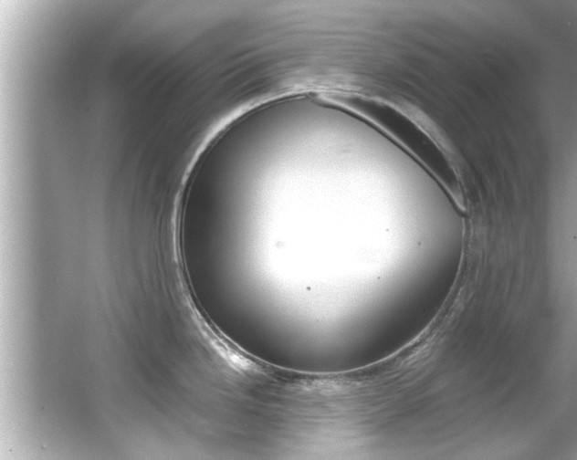 X0000066501246200603170941
