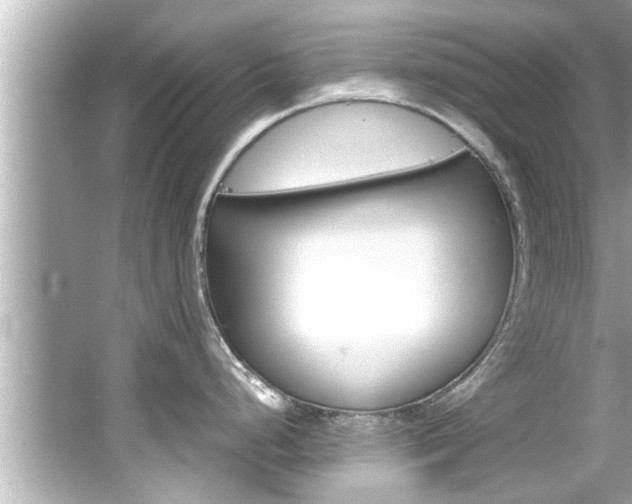 X0000066501248200603170941
