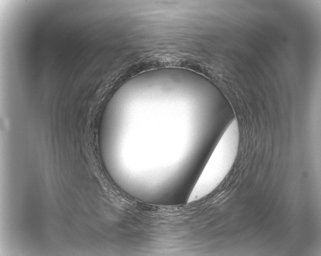 X0000066501249200603170941