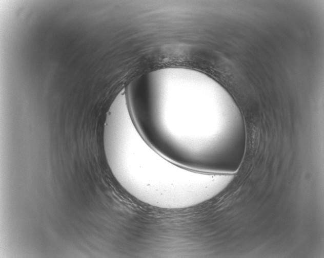 X0000066501250200603170941