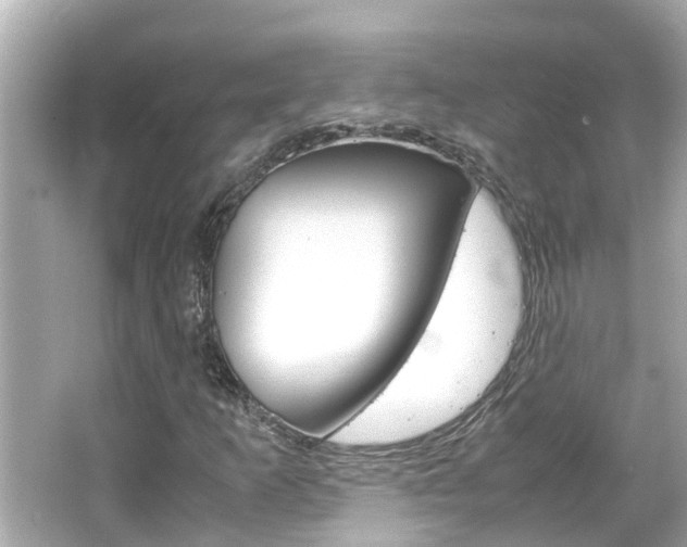 X0000066501253200603170941