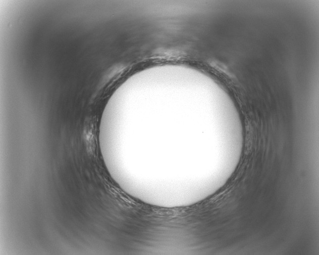 X0000066501254200603170941