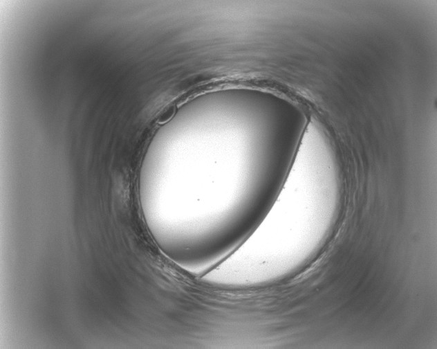 X0000066501257200603170941
