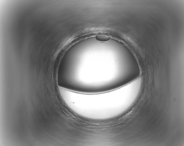 X0000066501261200603170940