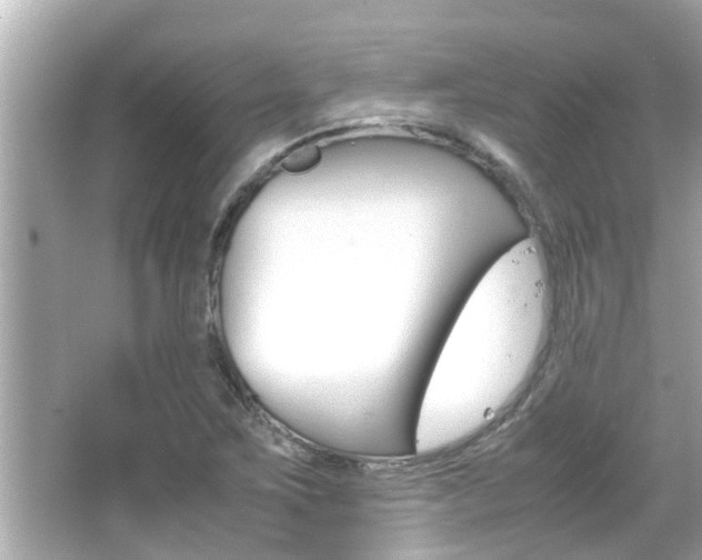 X0000066501267200603170940