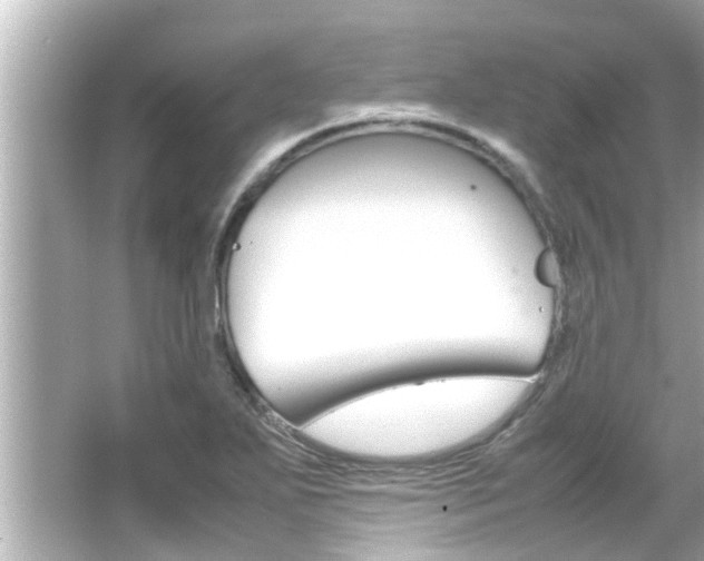 X0000066501271200603170940