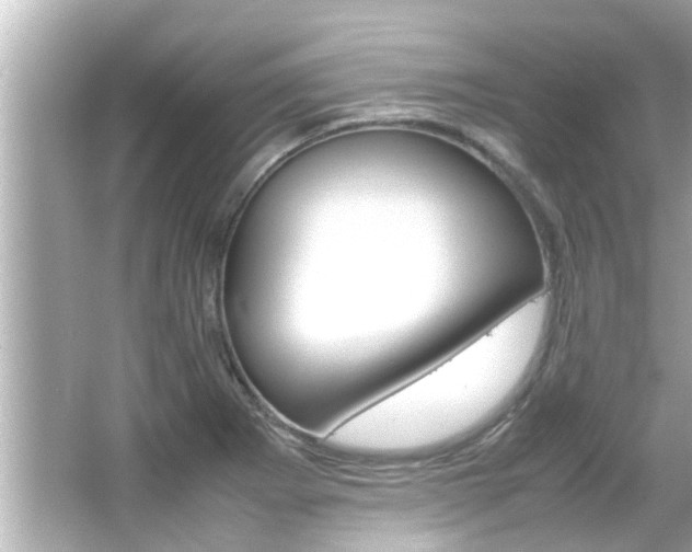 X0000066501273200603170940