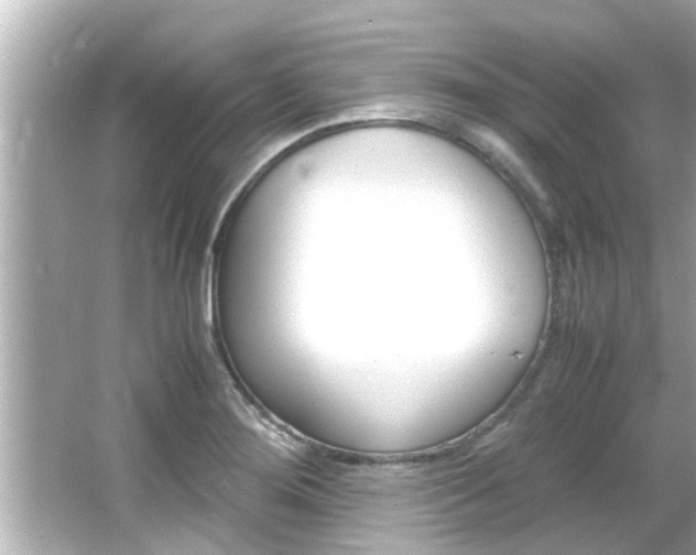 X0000066501276200603170940