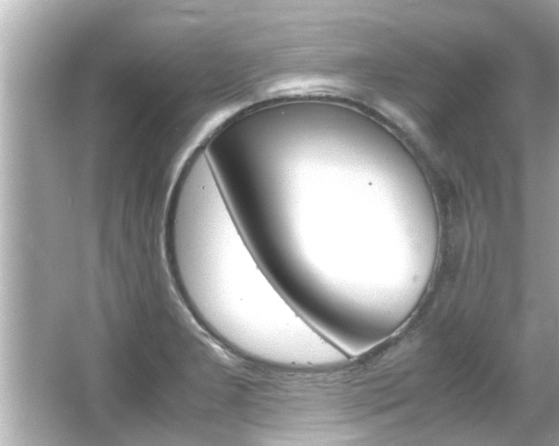 X0000066501277200603170940