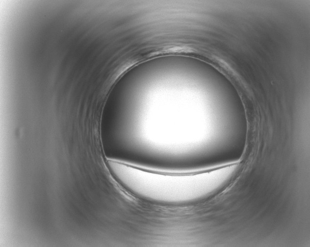 X0000066501281200603170940