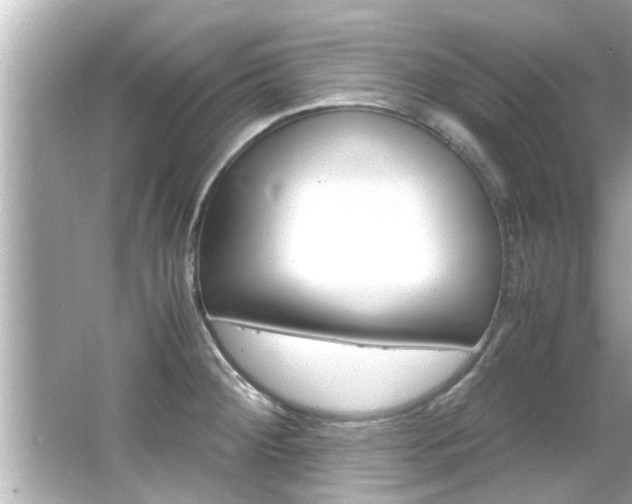 X0000066501284200603170940