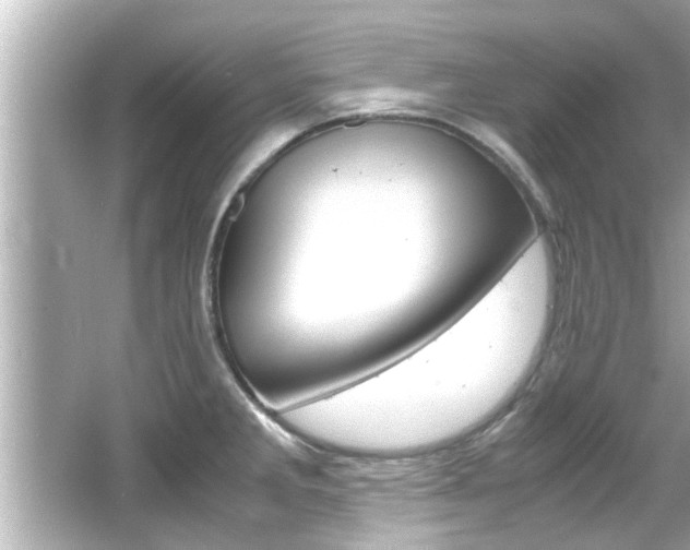 X0000066501285200603170940