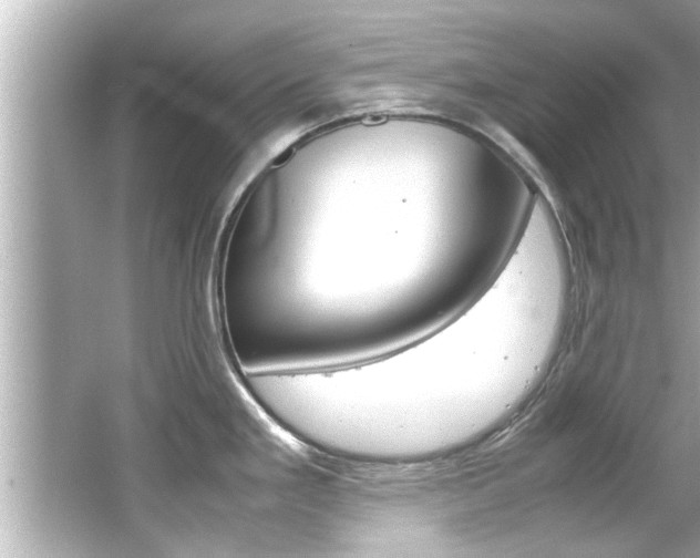 X0000066501293200603170940