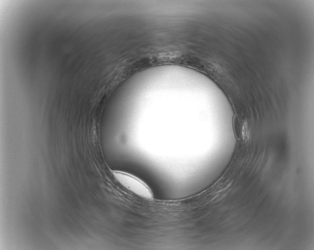 X0000066501299200603170939