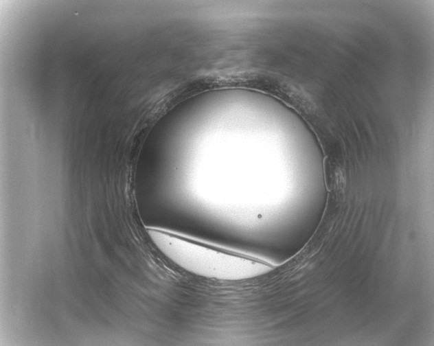 X0000066501300200603170939