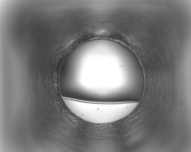 X0000066501301200603170939