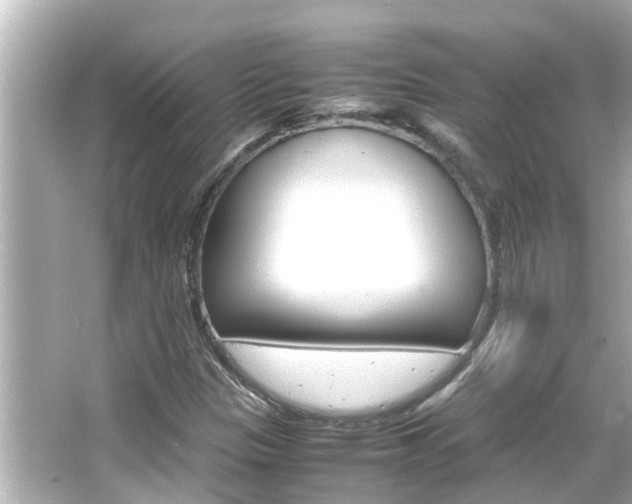 X0000066501305200603170939